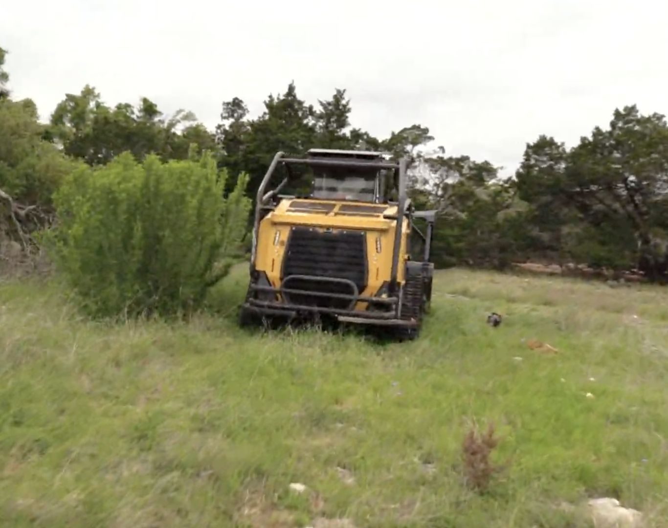 Cedar mulching in Lakeway, TX for lakefront homes