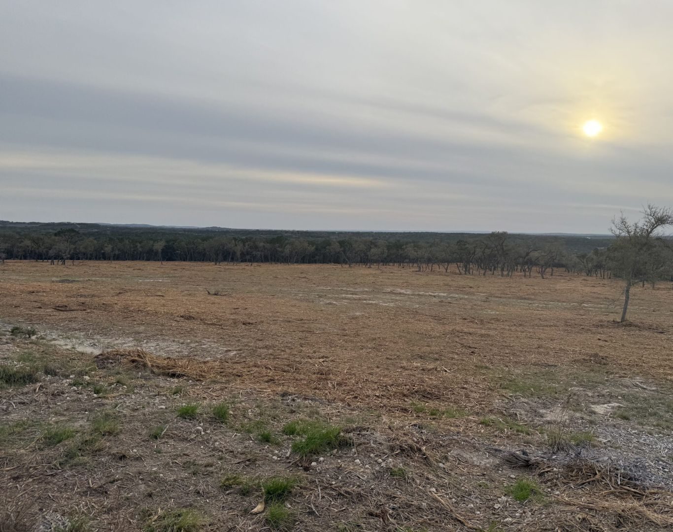 Cedar mulching near me in Canyon Lake, TX for lakefront land
