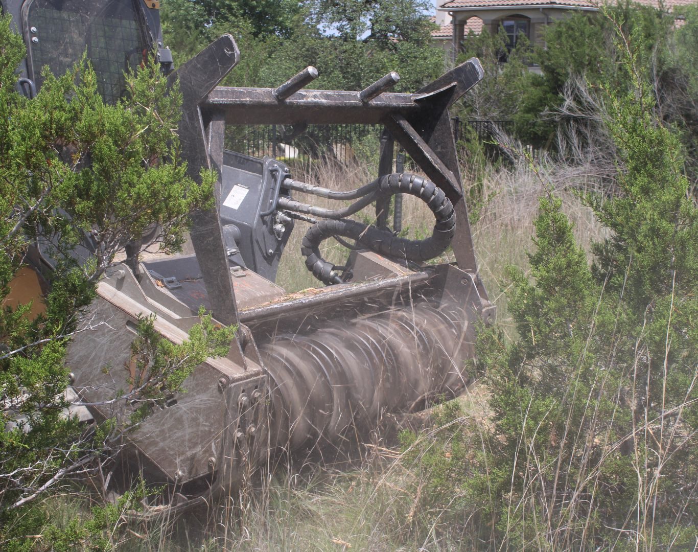 Cedar mulching near me in San Marcos, TX for native restoration Cedar mulching near me in San Marcos, TX for native restoration