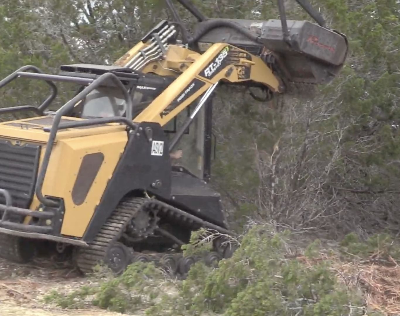 Professional stump grinding in Cedar Park, TX residential properties