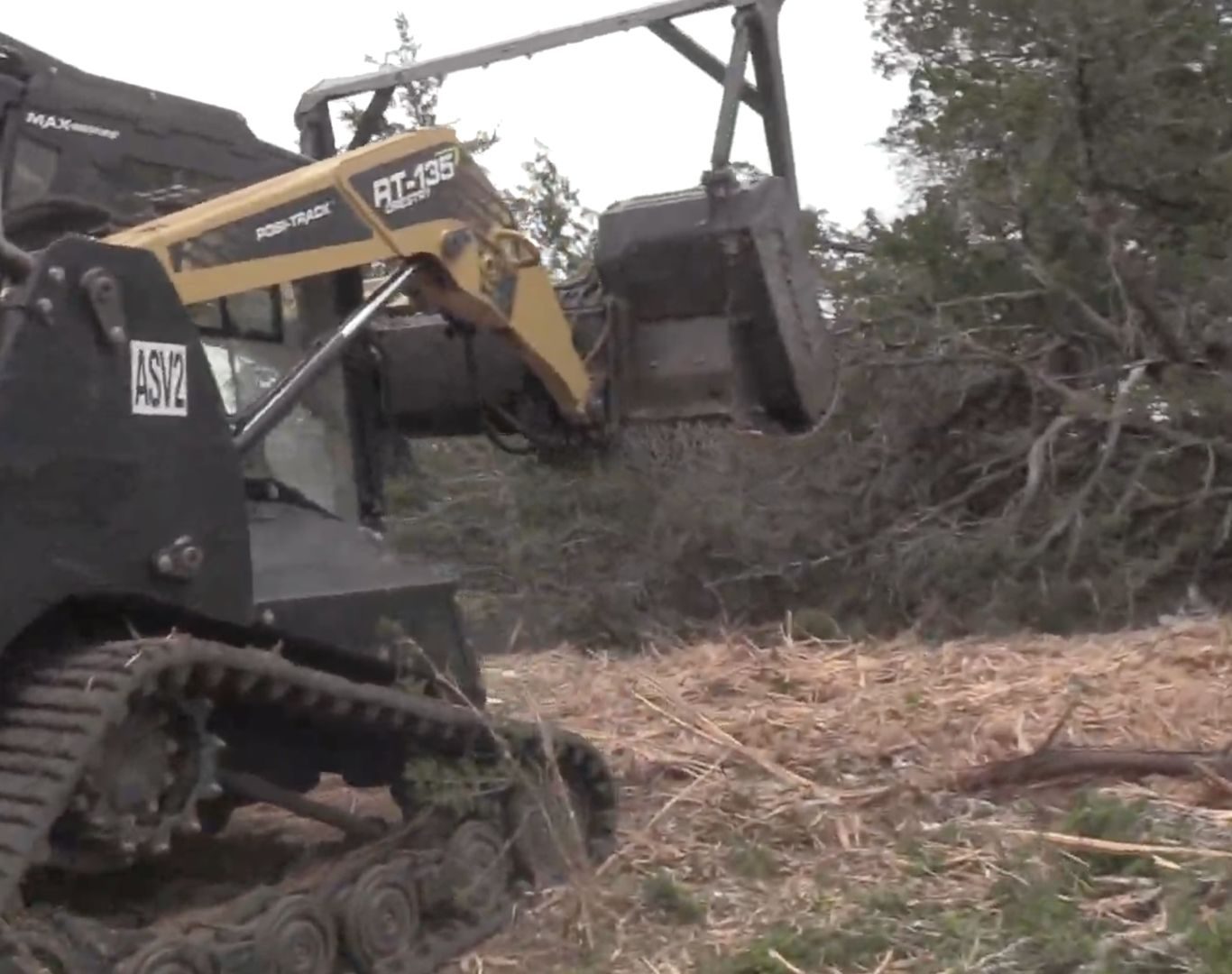 Professional tree removal in Blanco, TX residential and ranch properties