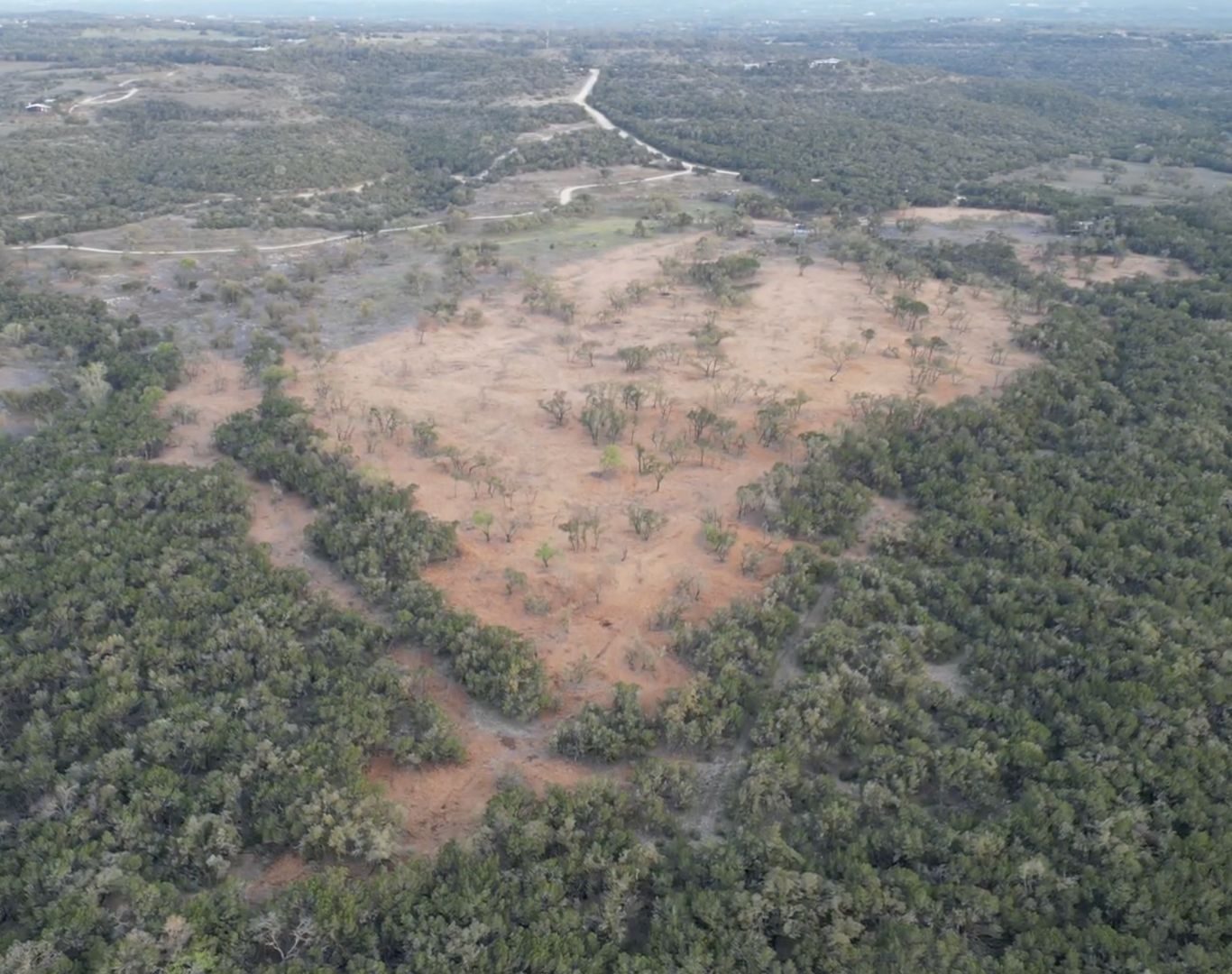 Professional tree removal in Buda, TX residential properties