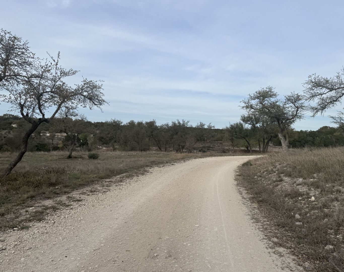 Professional tree removal in Pflugerville, TX residential properties