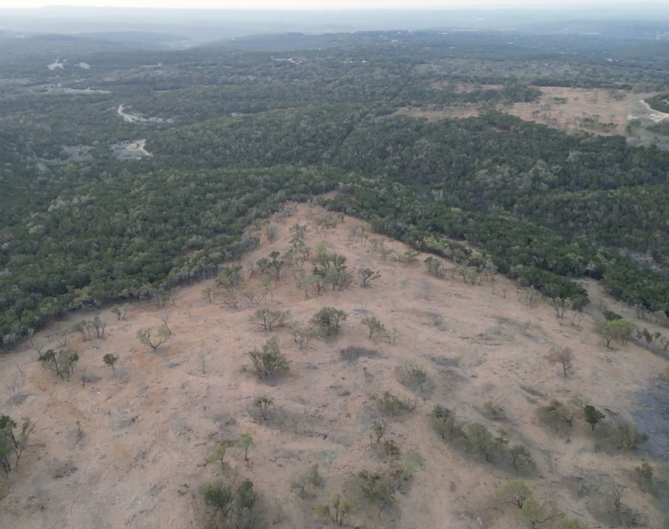 Professional tree removal in Stonewall, TX vineyard and rural properties