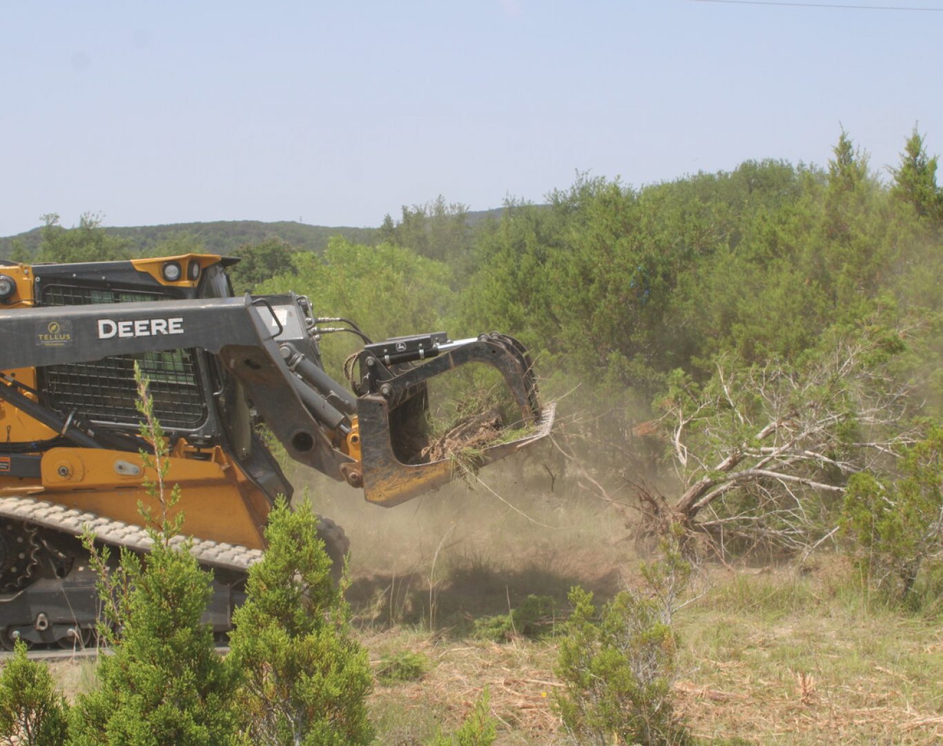 Professional tree removal in The Hills, TX residential and golf course properties