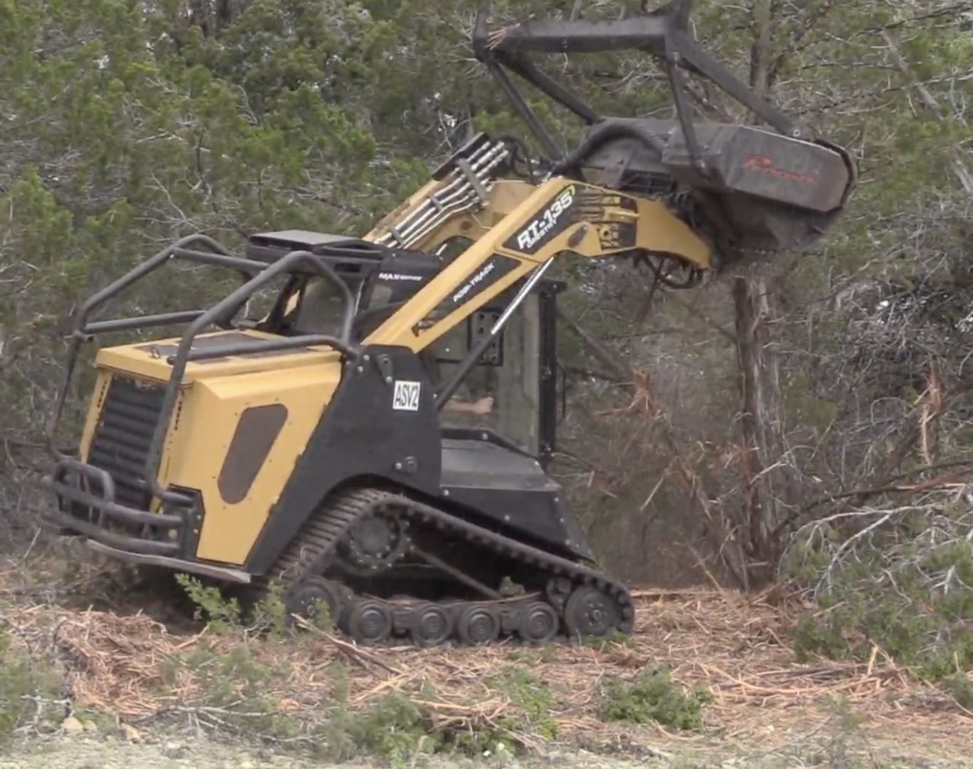 Residential stump grinding in Brushy Creek, TX backyard