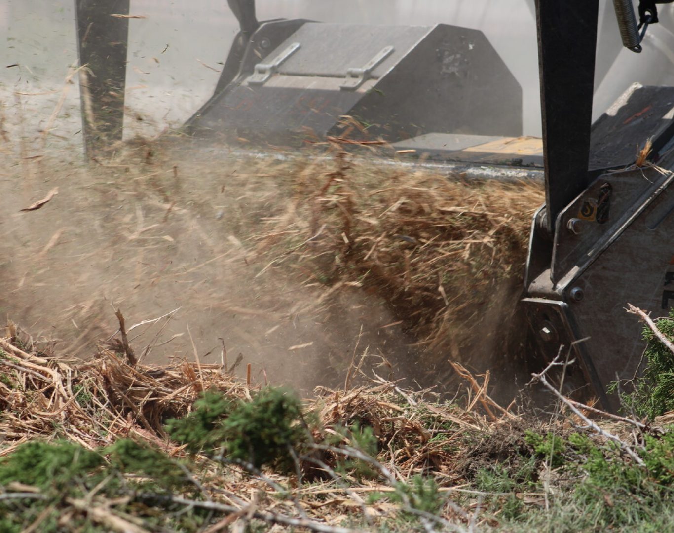 Stump grinding near me in Cedar Park, TX for suburban yards
