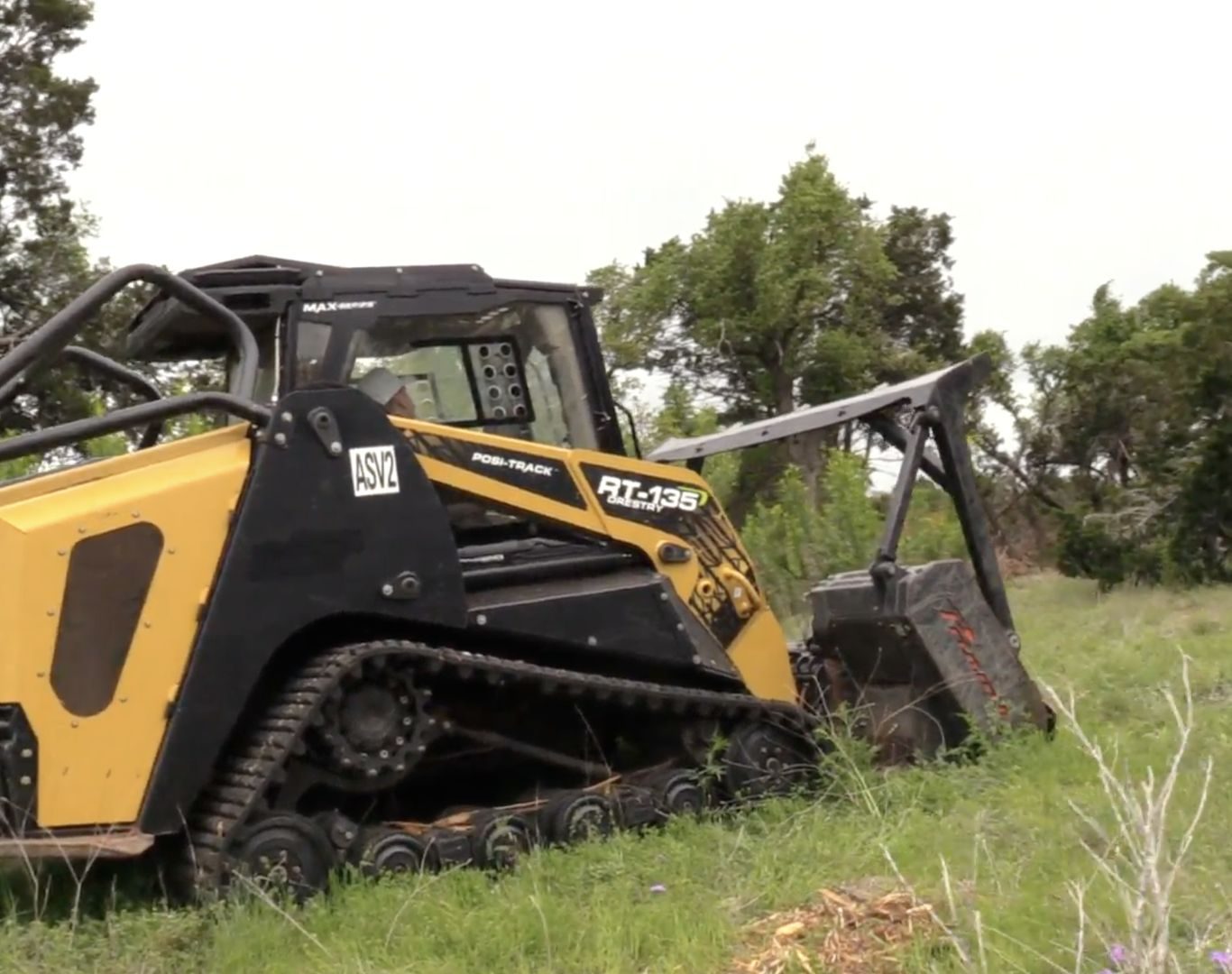 Tree removal near me in Driftwood, TX for hazardous or overgrown trees