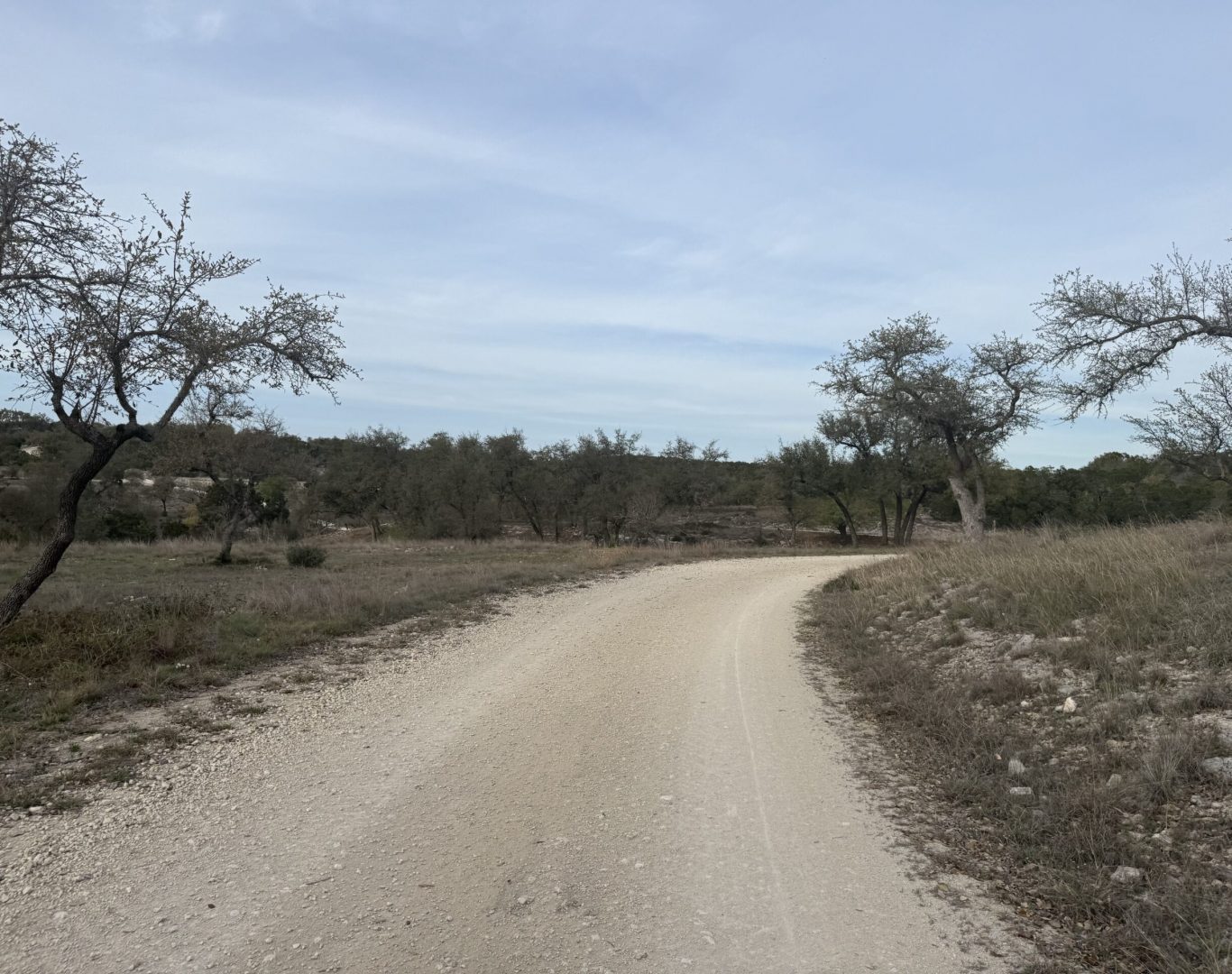 Land clearing near me in Travis County, TX for site prep Land clearing near me in Travis County, TX for site prep